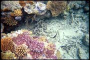 cairns_00_b_img004
