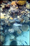 cairns_00_b_img006