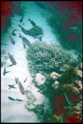 cairns_00_b_img007