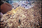 cairns_00_b_img009