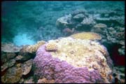 cairns_00_b_img011