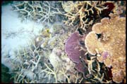 cairns_00_b_img012