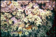 cairns_00_b_img013