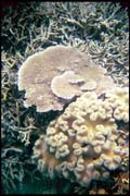 cairns_00_b_img014