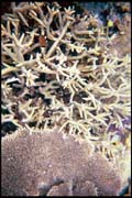 cairns_00_b_img015