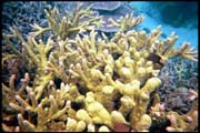 cairns_00_b_img016