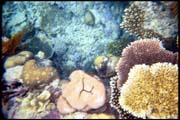 cairns_00_b_img018