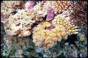 cairns_00_b_img020
