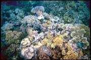 cairns_00_b_img021