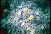 cairns_00_b_img022