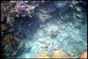 cairns_00_b_img023