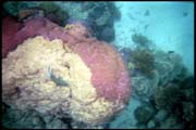 cairns_00_b_img024