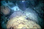 cairns_00_b_img025