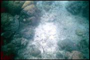 cairns_00_b_img026