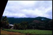 cairns_00_b_img030