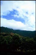 cairns_00_b_img031