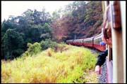cairns_00_b_img034