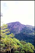 cairns_00_b_img035