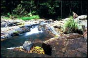 cairns_00_b_img047