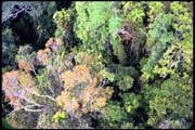 cairns_00_b_img049