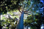cairns_00_b_img053