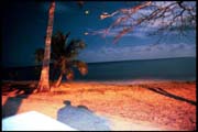 cairns_00_b_img060