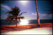 cairns_00_b_img061