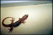 cairns_00_b_img102