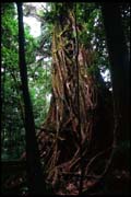 cairns_00_c_img008