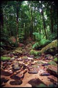 cairns_00_c_img009