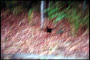 cairns_00_c_img015