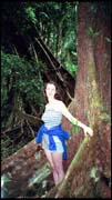 cairns_00_img001