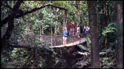 cairns_00_img005