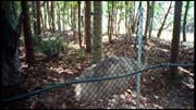 cairns_00_img014
