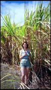 cairns_00_img016