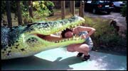 cairns_00_img020