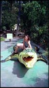 cairns_00_img021