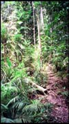 cairns_00_img026