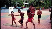 cairns_00_img029