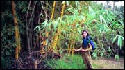 cairns_00_img031