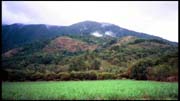 cairns_00_img047