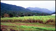 cairns_00_img048