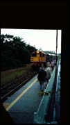 cairns_00_img049