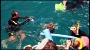 cairns_00_img068