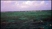 cairns_00_img069