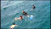 cairns_00_img070