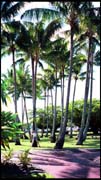 cairns_00_img072