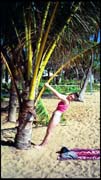 cairns_00_img076