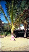 cairns_00_img078