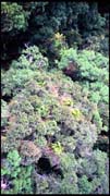 cairns_00_img088
